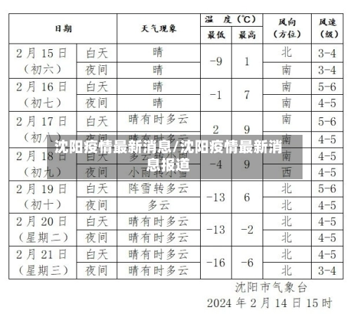 沈阳疫情最新消息/沈阳疫情最新消息报道