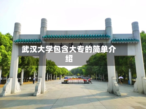 武汉大学包含大专的简单介绍-第1张图片