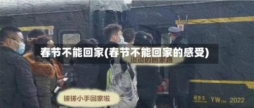 春节不能回家(春节不能回家的感受)-第1张图片