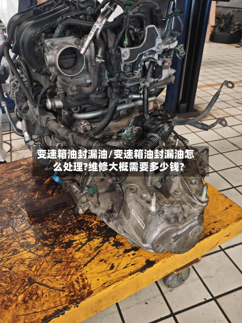 变速箱油封漏油/变速箱油封漏油怎么处理?维修大概需要多少钱?-第1张图片