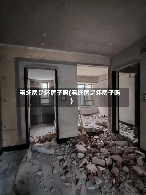 毛坯房是坏房子吗(毛坯房是坏房子吗)-第2张图片