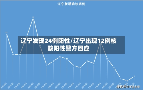 辽宁发现24例阳性/辽宁出现12例核酸阳性警方回应-第2张图片