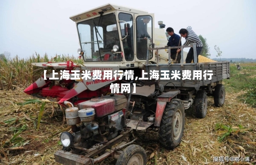 【上海玉米费用行情,上海玉米费用行情网】-第1张图片