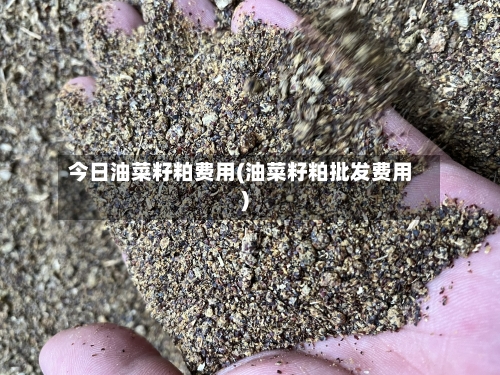 今日油菜籽粕费用(油菜籽粕批发费用)-第2张图片