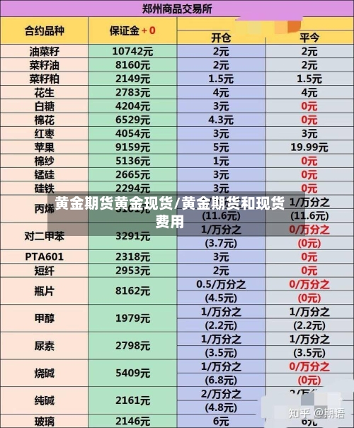 黄金期货黄金现货/黄金期货和现货费用