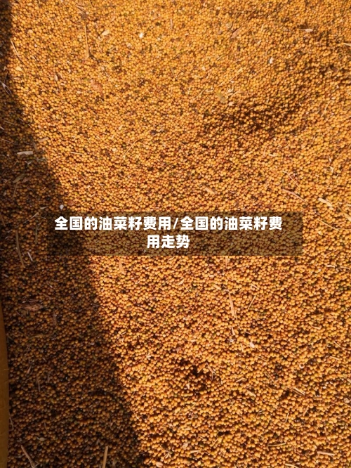 全国的油菜籽费用/全国的油菜籽费用走势-第1张图片