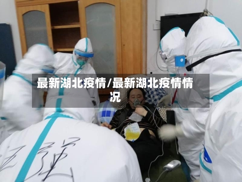 最新湖北疫情/最新湖北疫情情况-第1张图片