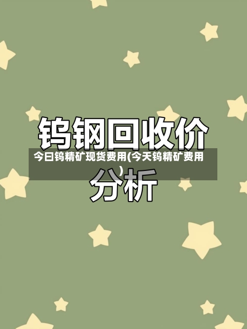 今曰钨精矿现货费用(今天钨精矿费用)-第1张图片