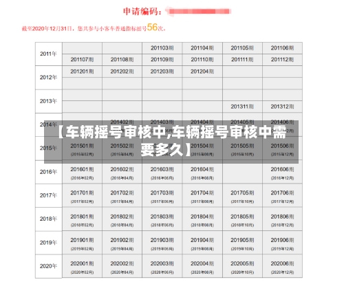 【车辆摇号审核中,车辆摇号审核中需要多久】-第1张图片