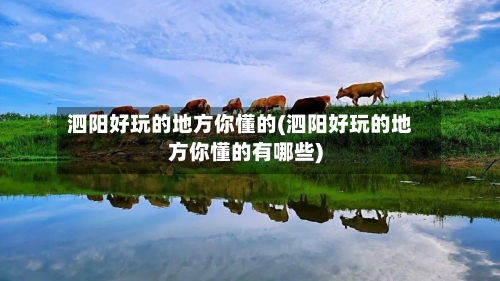 泗阳好玩的地方你懂的(泗阳好玩的地方你懂的有哪些)
