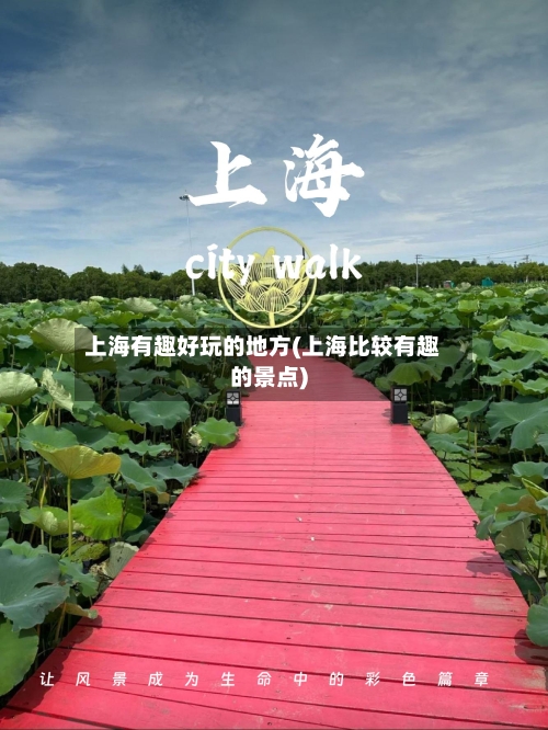 上海有趣好玩的地方(上海比较有趣的景点)