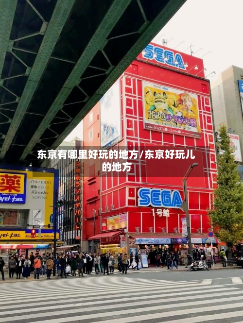 东京有哪里好玩的地方/东京好玩儿的地方-第3张图片