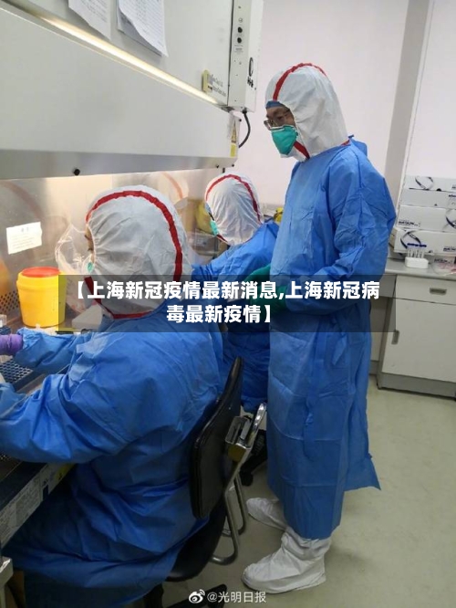 【上海新冠疫情最新消息,上海新冠病毒最新疫情】-第2张图片