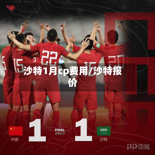 沙特1月cp费用/沙特报价-第2张图片