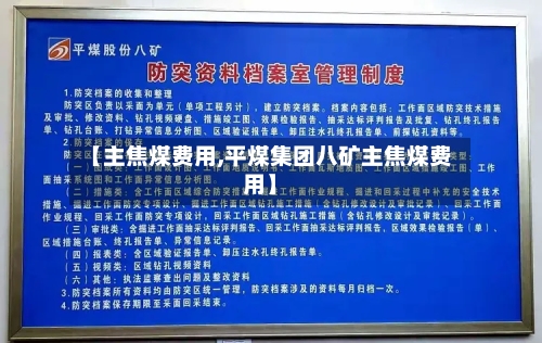 【主焦煤费用,平煤集团八矿主焦煤费用】-第1张图片