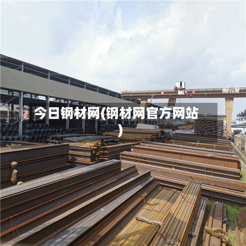 今日钢材网(钢材网官方网站)-第3张图片