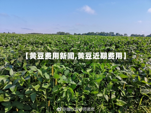 【黄豆费用新闻,黄豆近期费用】-第3张图片
