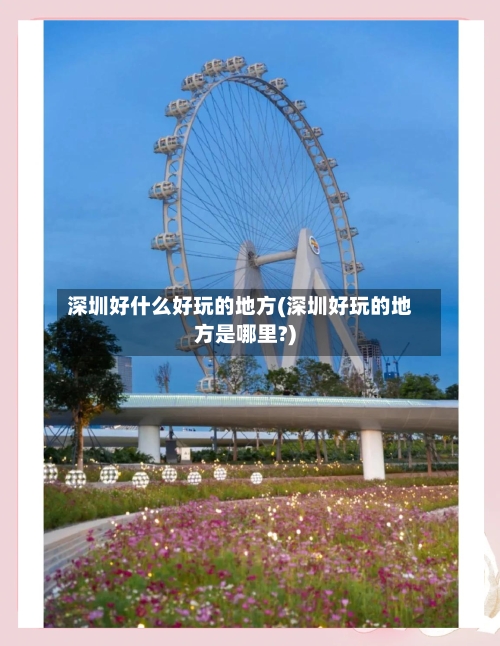 深圳好什么好玩的地方(深圳好玩的地方是哪里?)-第3张图片
