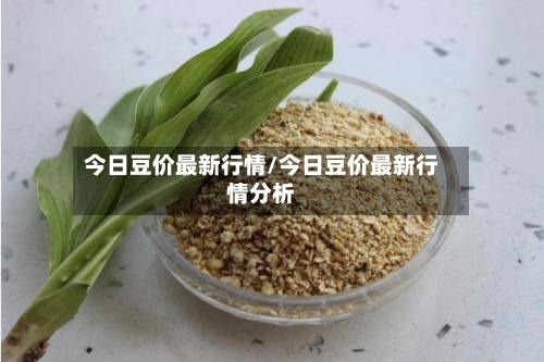 今日豆价最新行情/今日豆价最新行情分析-第1张图片