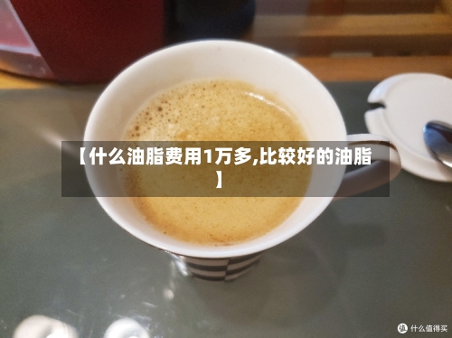 【什么油脂费用1万多,比较好的油脂】-第2张图片