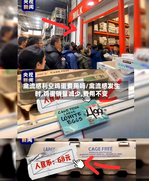 禽流感利空鸡蛋费用吗/禽流感发生时,鸡蛋销量减少,费用不变-第2张图片