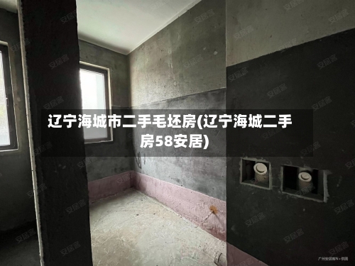 辽宁海城市二手毛坯房(辽宁海城二手房58安居)-第1张图片