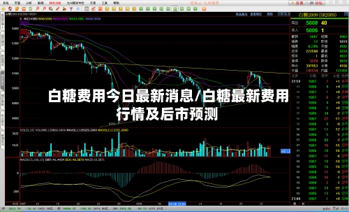 白糖费用今日最新消息/白糖最新费用行情及后市预测-第1张图片