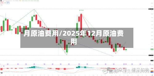 月原油费用/2025年12月原油费用-第2张图片