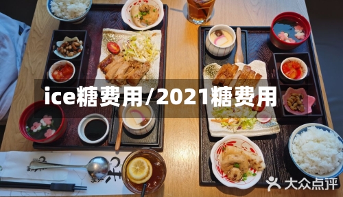ice糖费用/2021糖费用-第3张图片