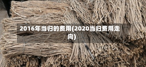 2016年当归的费用(2020当归费用走向)-第1张图片