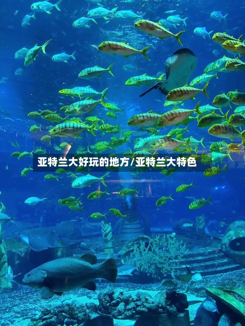 亚特兰大好玩的地方/亚特兰大特色-第1张图片