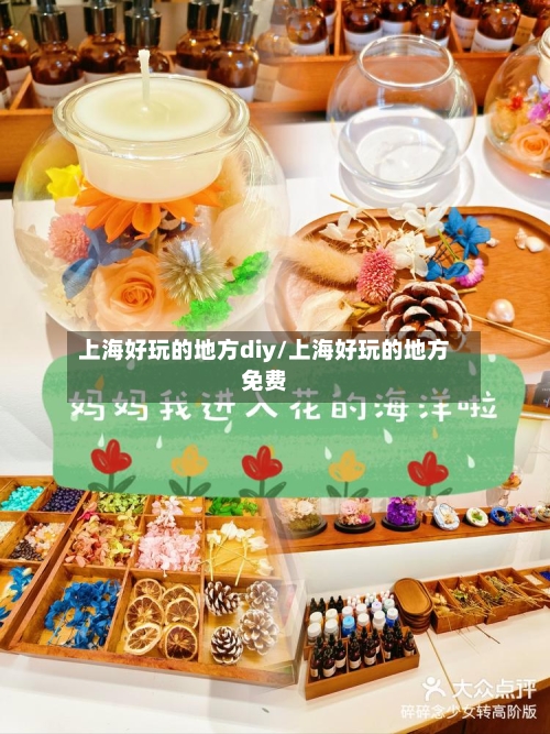 上海好玩的地方diy/上海好玩的地方免费-第3张图片
