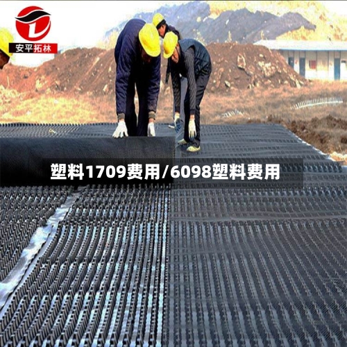 塑料1709费用/6098塑料费用-第1张图片