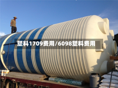 塑料1709费用/6098塑料费用-第2张图片
