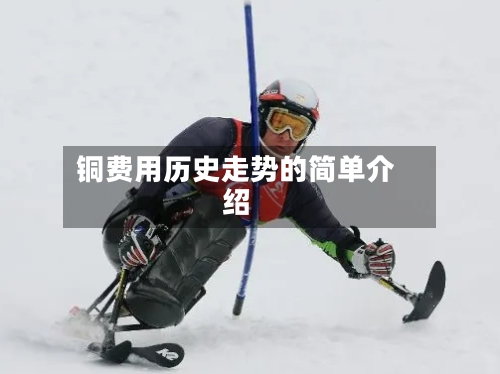 铜费用历史走势的简单介绍-第3张图片