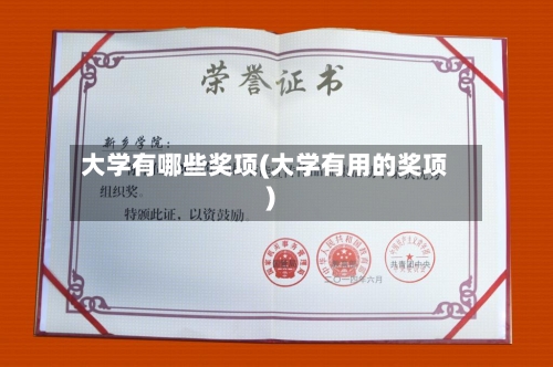 大学有哪些奖项(大学有用的奖项)-第3张图片