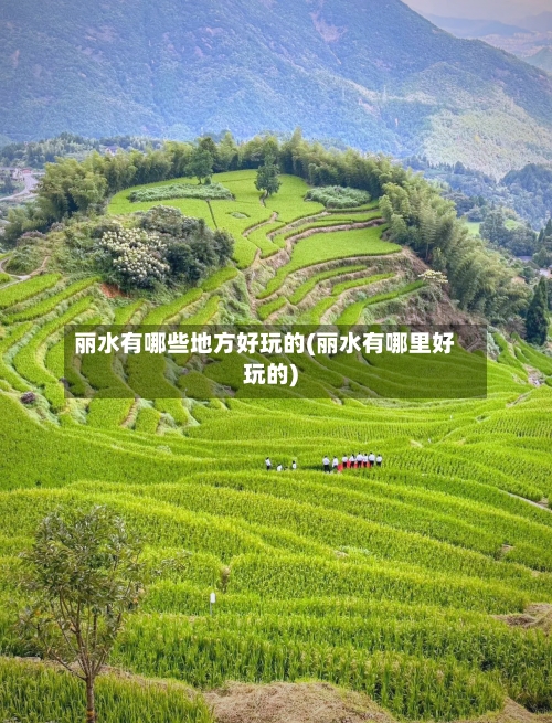 丽水有哪些地方好玩的(丽水有哪里好玩的)-第1张图片