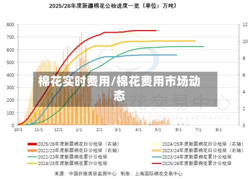 棉花实时费用/棉花费用市场动态-第1张图片