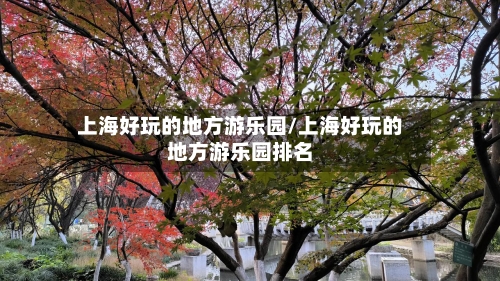 上海好玩的地方游乐园/上海好玩的地方游乐园排名-第1张图片
