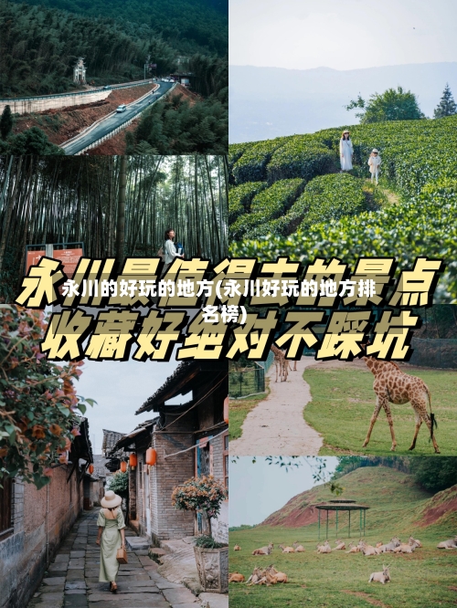 永川的好玩的地方(永川好玩的地方排名榜)-第3张图片