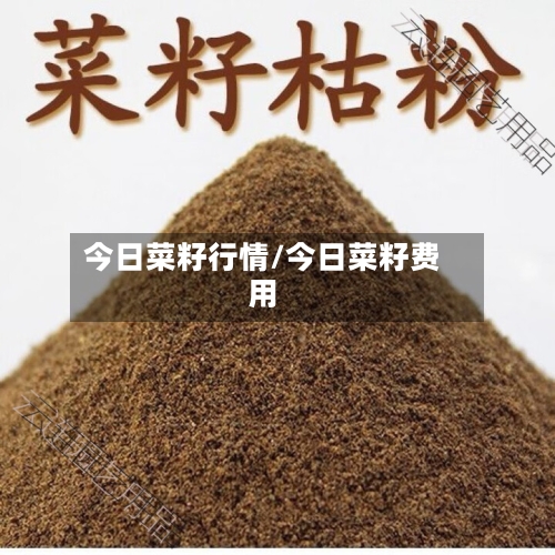 今日菜籽行情/今日菜籽费用-第2张图片