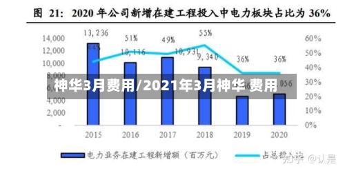 神华3月费用/2021年3月神华 费用-第2张图片