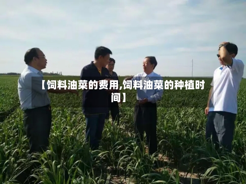【饲料油菜的费用,饲料油菜的种植时间】-第3张图片