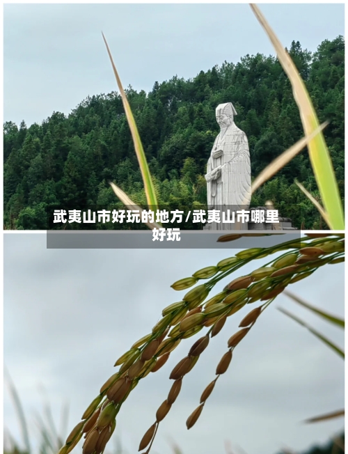 武夷山市好玩的地方/武夷山市哪里好玩-第3张图片