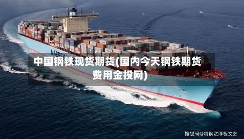 中国钢铁现货期货(国内今天钢铁期货费用金投网)-第2张图片