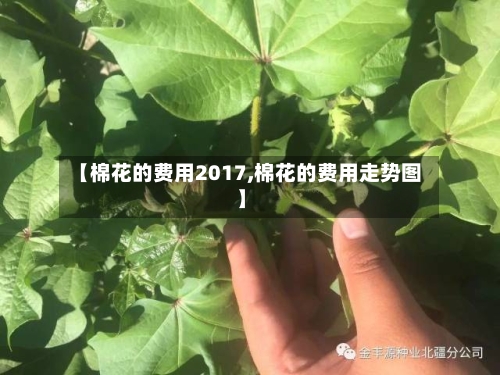 【棉花的费用2017,棉花的费用走势图】-第3张图片