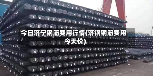 今日济宁钢筋费用行情(济钢钢筋费用今天价)-第3张图片