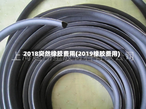 2018突然橡胶费用(2019橡胶费用)-第2张图片