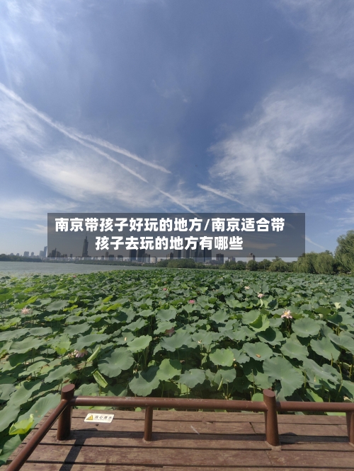 南京带孩子好玩的地方/南京适合带孩子去玩的地方有哪些-第2张图片