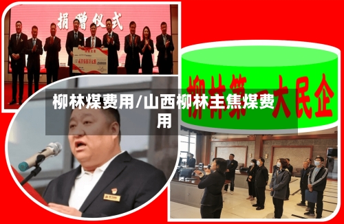 柳林煤费用/山西柳林主焦煤费用-第2张图片